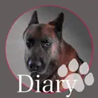 Jack Diary Pet Health iOS Icon