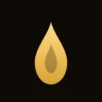 Vela Reader Icon