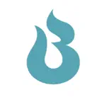 BlueFire Icon