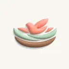 Nest: 네스트 - 홈스쿨링 가정학습 플랫폼 iOS Icon