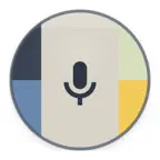 Voiz Report iOS Icon