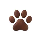 네발자국 Icon