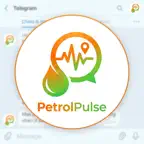 PetrolPulse icon