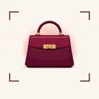 Handbag Identifier iOS Icon