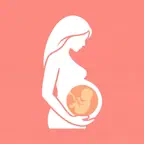 Pregnancy Tracker: Due Date iOS Icon