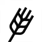 Grains - Nutrition Tracker iOS Icon