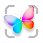 Butterfly Identifier: Scan AI iOS Icon