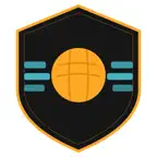 Amateur Handball Stats Icon