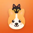 Boop Budget Tracker icon