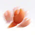 虾忙 iOS Icon