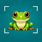 Frog Identifier iOS Icon