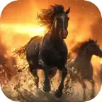 君成天下：一统三国 icon