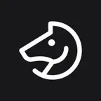 Chess Play & Learn Icon
