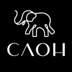 Слон | Томск iOS Icon