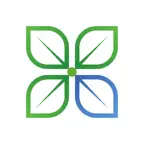 Ray.eco Icon