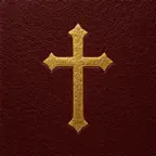 Bible Focus: Speed Reading iOS Icon