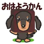 Cutie dachshund foods iOS Icon