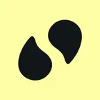 SaySo: Curated News Digests icon