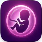 Obstetrum: OB-GYN Calculator iOS Icon