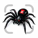 Spider Identifier: Bug Scanner iOS Icon