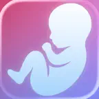 Bloom Baby - Pregnancy Tracker iOS Icon