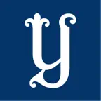 YDN icon