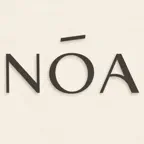 Noa Studio iOS Icon