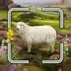 Dartmoor Smart Counter iOS Icon