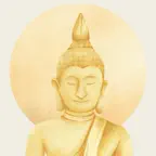 Bodhi Daily Icon