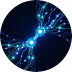 Neuro Pulse Offline iOS Icon