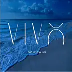 Vivo Market iOS Icon