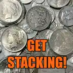 Silver Stacker Wallet icon