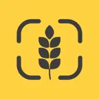 Gluten Free Scanner: GF Foods iOS Icon