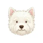 Highkey Day: Custom Calendar iOS Icon