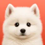 Dog Translator・Pet Translator iOS Icon