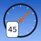 SpeedCheck+ Drive Copilot iOS Icon