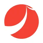 Панама суши iOS Icon