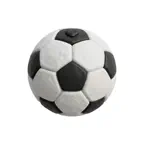 축구차곡 : K리그 직관 기록 iOS Icon