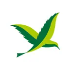 Park Logistics iOS Icon