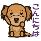 The friendly Golden retriever iOS Icon