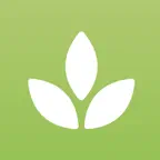MatchaKit: Matcha Recipe Guide iOS Icon