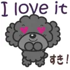 Gray toy poodle LOVE iOS Icon