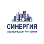 Синергия 29 iOS Icon