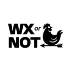 WXorNOT iOS Icon