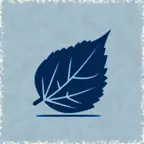 Cyano 青写真 - アナログな青写真加工 iOS Icon
