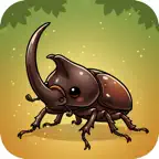 100 Beetles: Kabutomushi Kids Icon