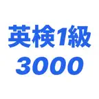 Eiken Grade 1 3000 Vocabulary iOS Icon