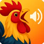 Rooster Calls & Sounds iOS Icon