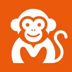 Monke - AI Budget Tracker icon