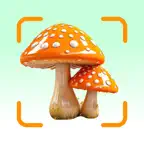 Mushroom Scanner AI: Shroom ID iOS Icon